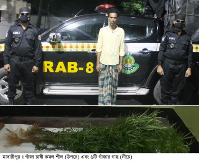 মাদারীপুরে ৬ গাঁজার গাছসহ এক গাঁজা চাষী গ্রেফতার মাদারীপুরে ৬ গাঁজার গাছসহ এক গাঁজা চাষী গ্রেফতার